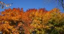 TN-Couleurs_d_automne_039.jpg